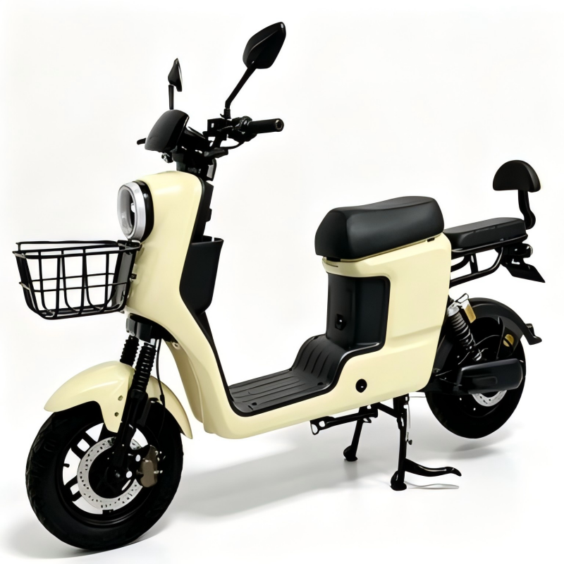 Electric Bike Details
