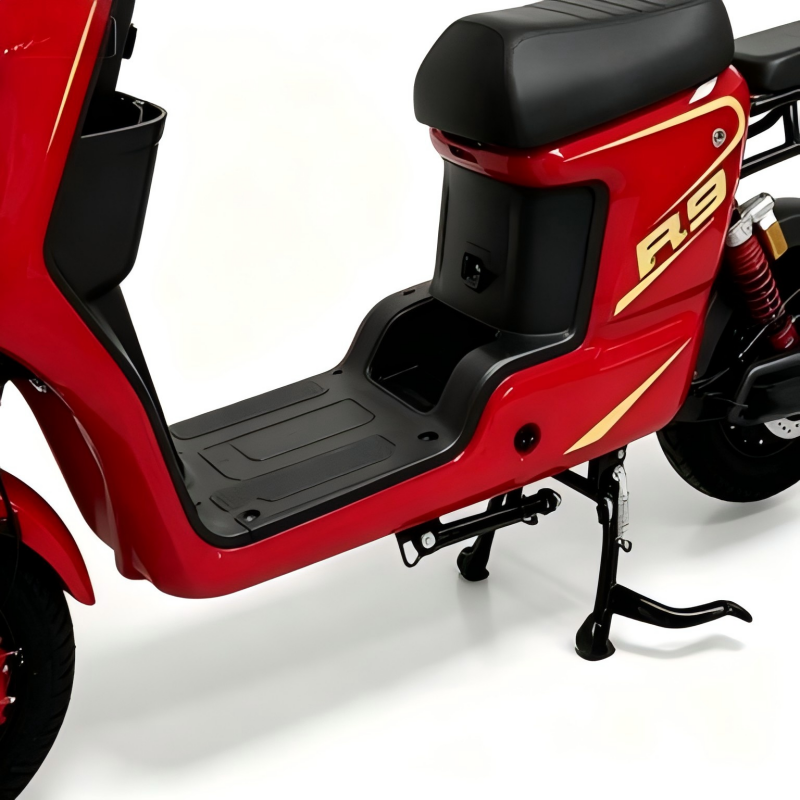 Electric Bike Details