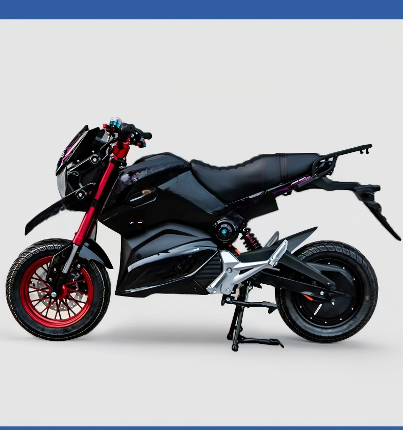 Aurora Electric Motorcycle Suspension