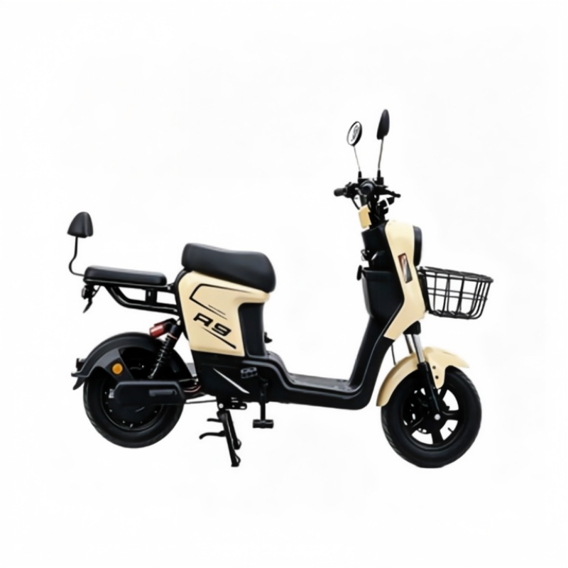 R9 cargo electric scooter test drive