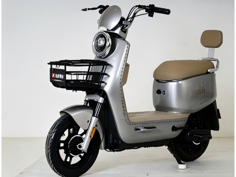 Electric Bike View 1
