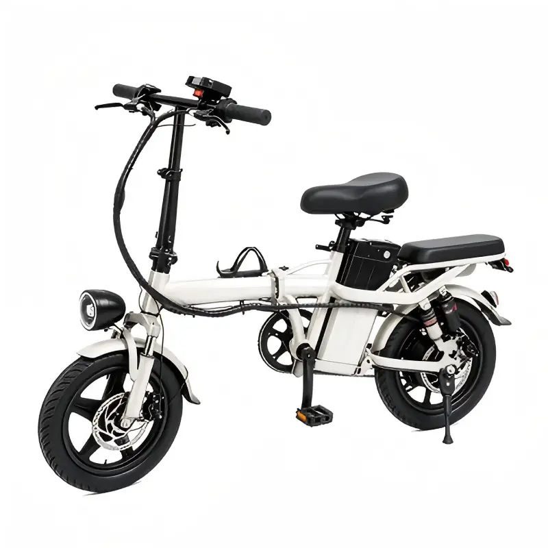 CE Certification Curved Frame Foldable E Bike Dual Shock Manufacturers, Exporter
