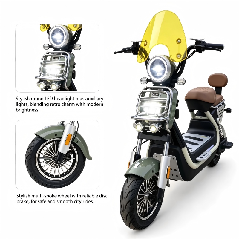 Electric Scooter Details 6