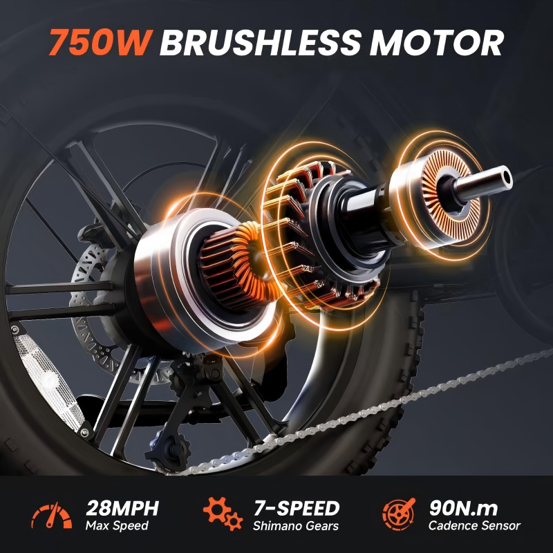 Electric Bike Details 5