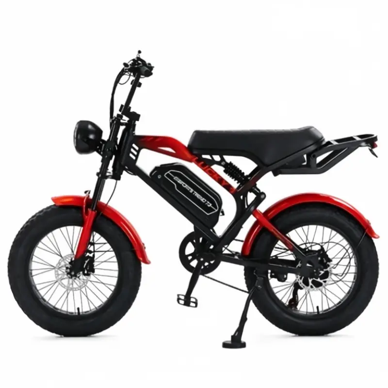 ODM Vintage Fat Tire Off Road E-Bike Factories, Factory