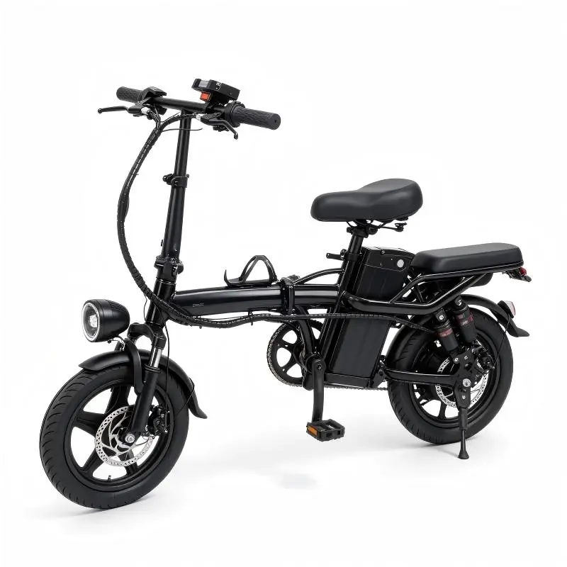 CE Certification Curved Frame Foldable E Bike Dual Shock Manufacturers, Exporter