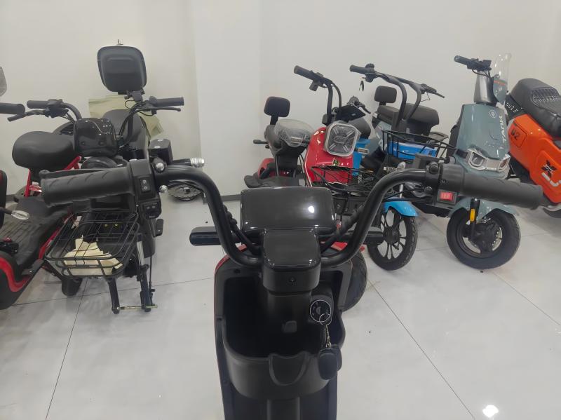 Electric Bike Details