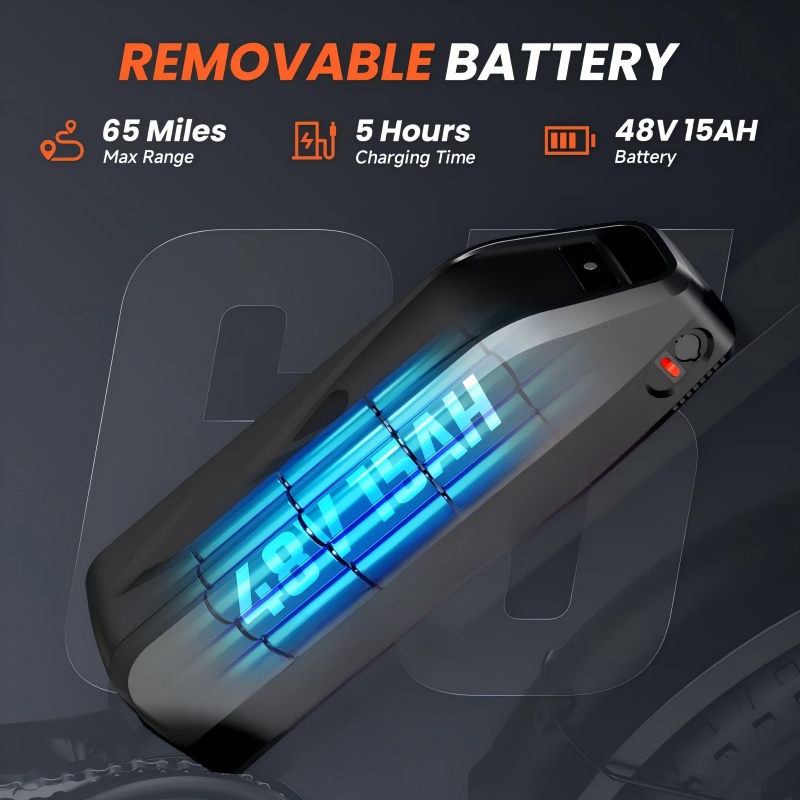 Electric Bike Details 7