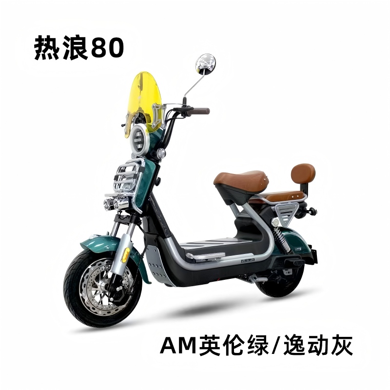 Electric Scooter Details 5