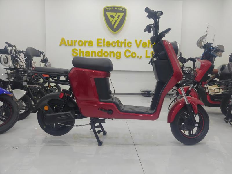 Electric Bike Details