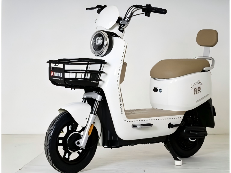 Electric Bike View 2