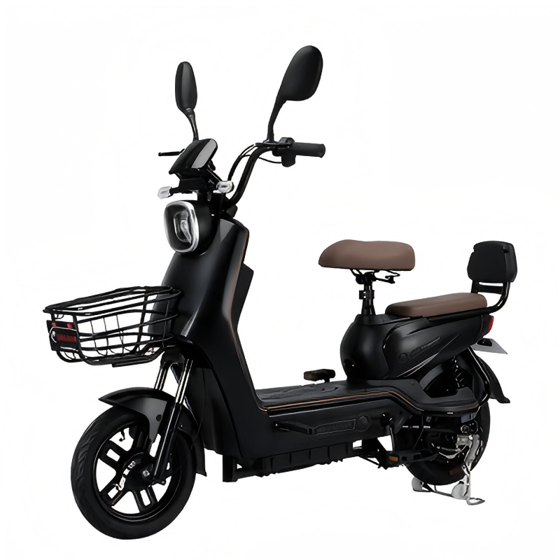 Dual Seat Lithium E-Bike Overview