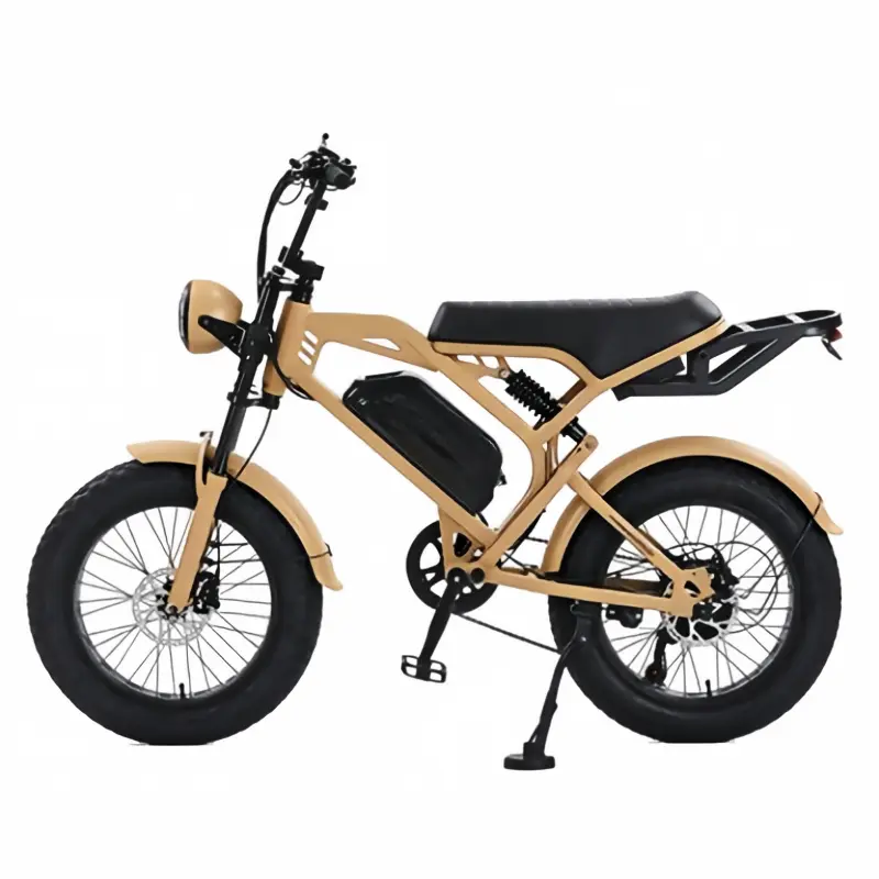 ODM Vintage Fat Tire Off Road E-Bike Factories, Factory
