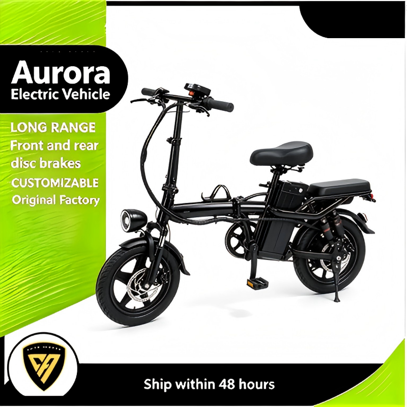 Curved Frame Foldable E Bike Dual Shock