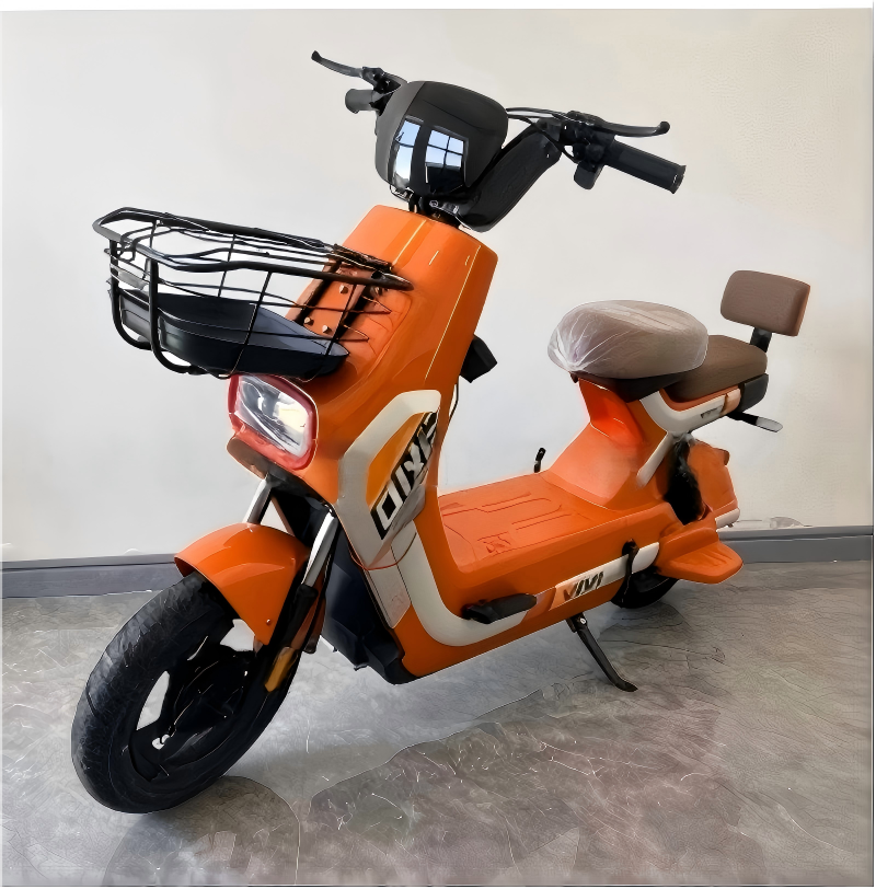 Electric Bike Detail 1