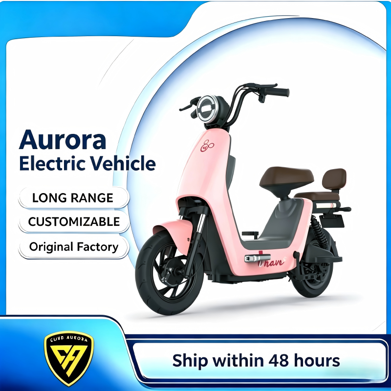 Cute Stylish Two Seater E-Bike