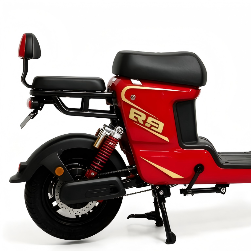 Electric Bike Details