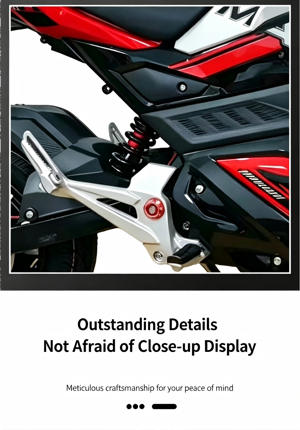 Z6 Sport Electric Bike Details 5