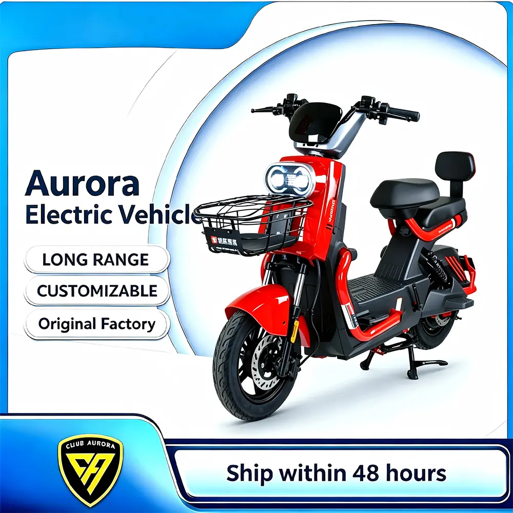 China Premium Electric Bike with Full Upgraded Configuration Supplier, Exporter