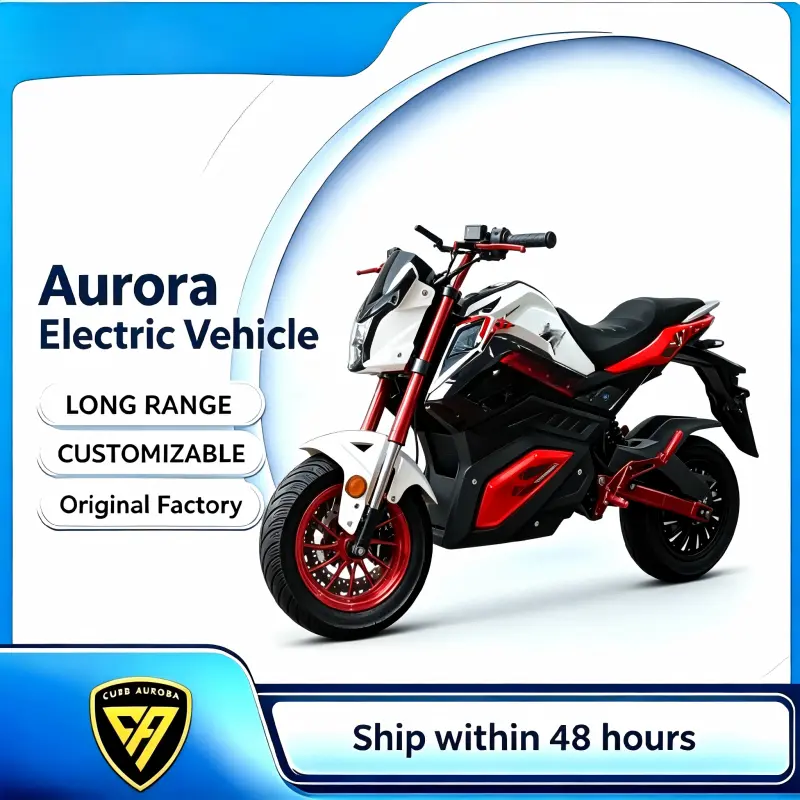 ODM Z6 Sport Electric Motorcycle for Urban Commuting Factory, Products