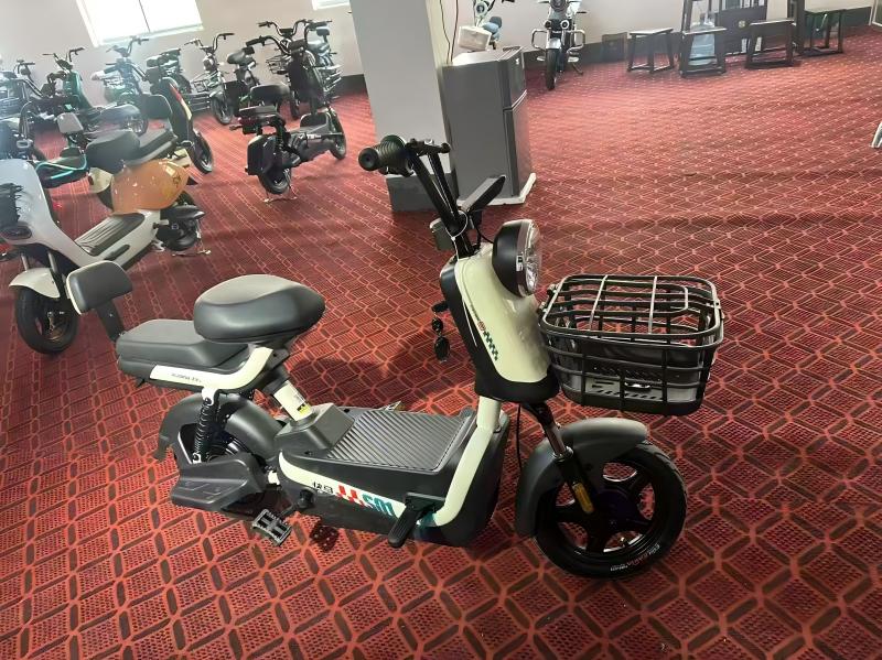 Electric Scooter Image 5