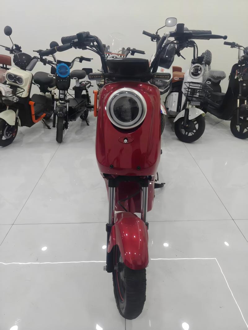 Electric Bike Details