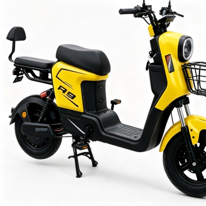 R9 cargo electric scooter loading process