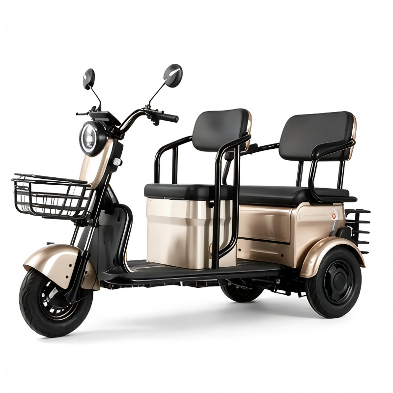 2-Seater Electric Tricycle view 4