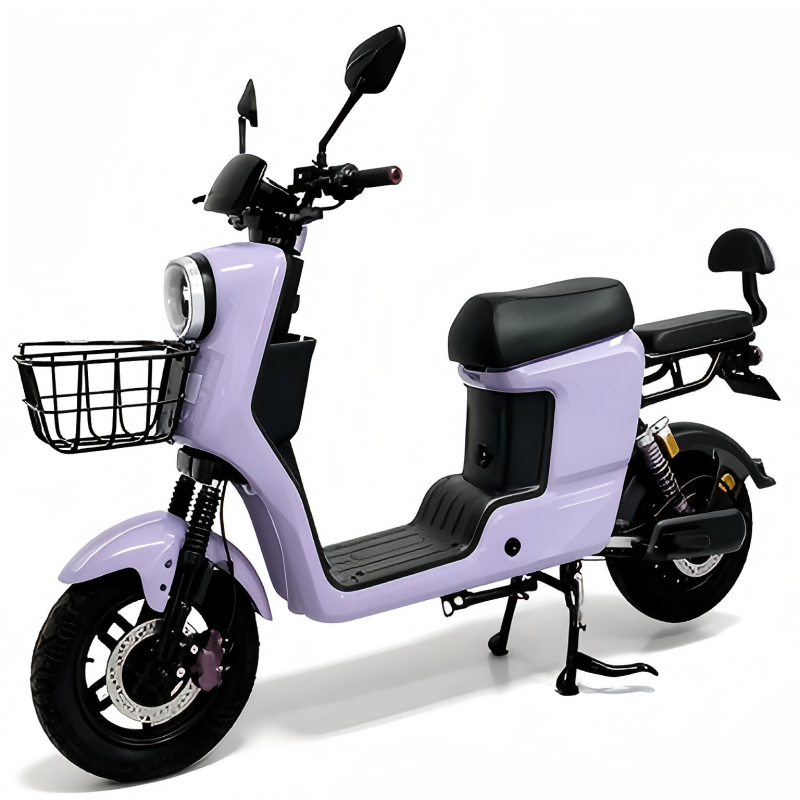 Electric Bike Details