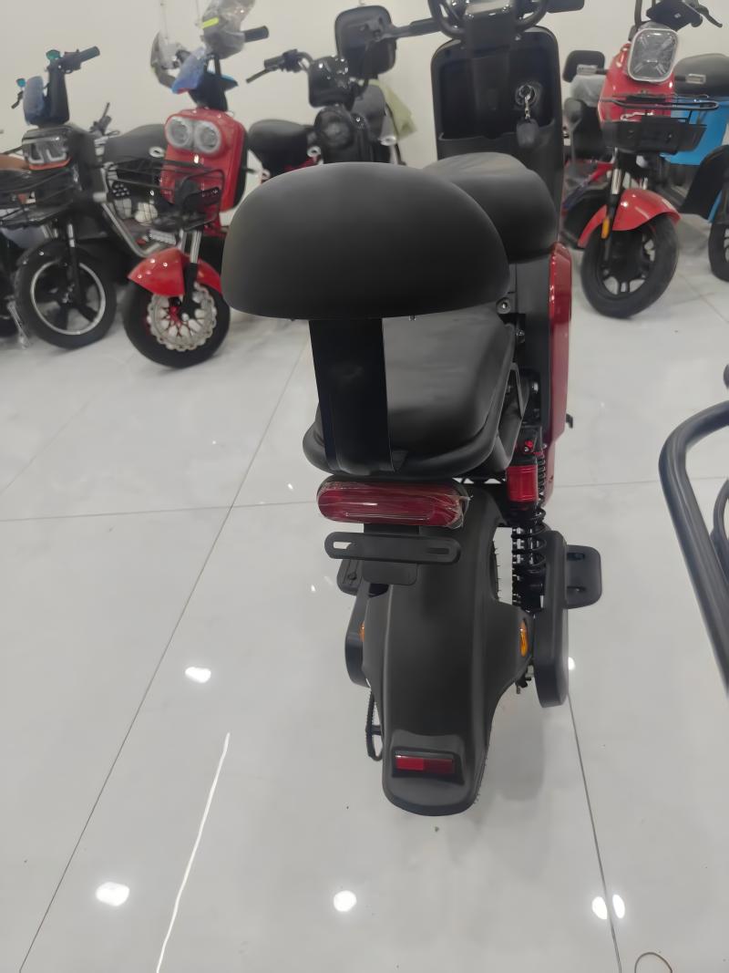 Electric Bike Details