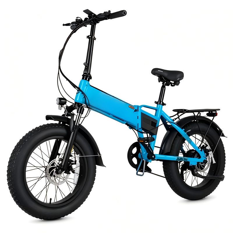 Double disc brake system
