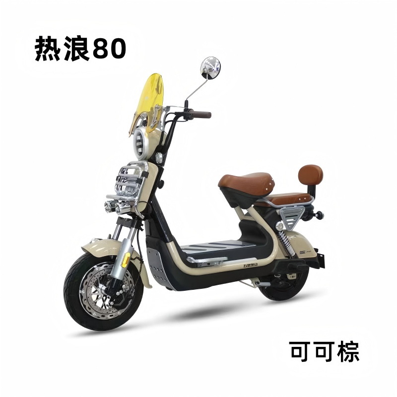Electric Scooter Details 3