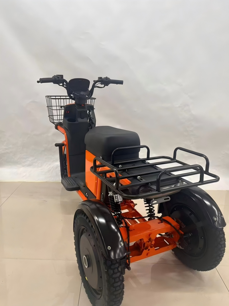 Aurora three-wheeled electric trike rear view