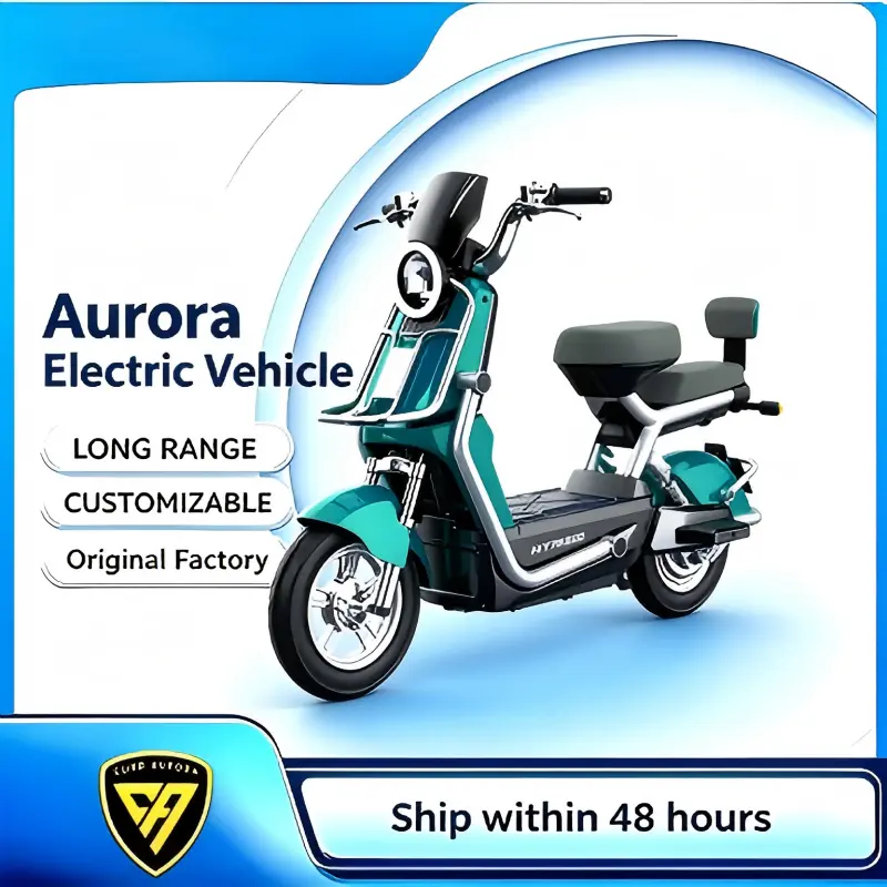 CE Certification Long Range Adult Electric Bicycle Scooter Supplier, Factory