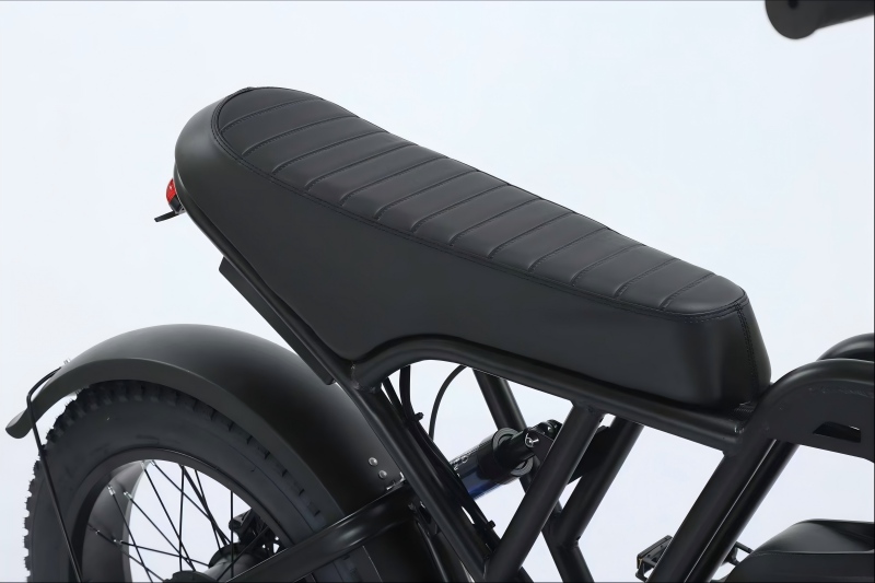 Electric Bike Details 13