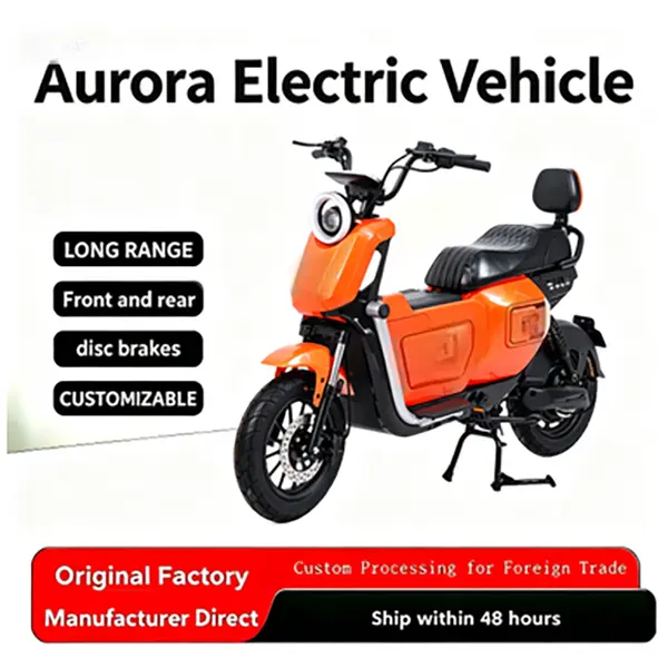 OEM U2 Electric Bike | Premium High-Carbon Steel Commuter E-Bike Manufacturer, Suppliers