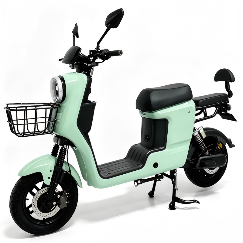 Electric Bike Details