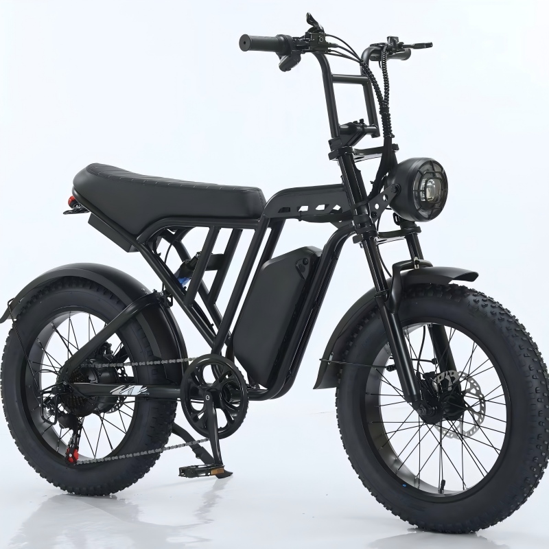 Electric Bike Details 10