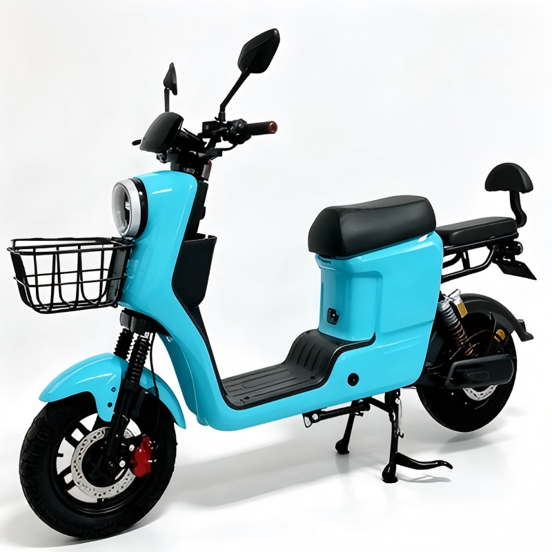Electric Bike Details