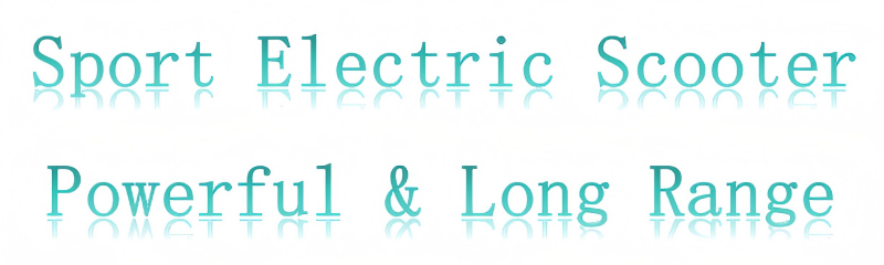 Electric Scooter Detail 1