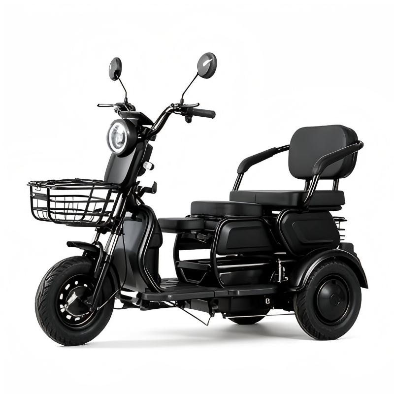 Family Multi-use Electric Tricycle Rear View