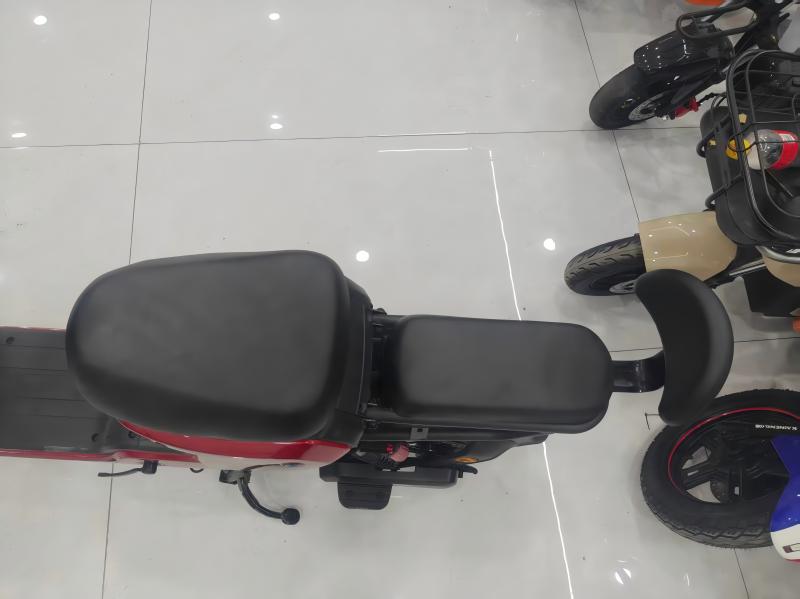 Electric Bike Details