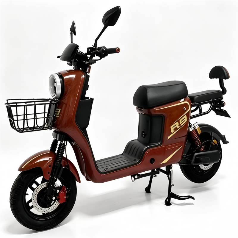 Electric Bike Details