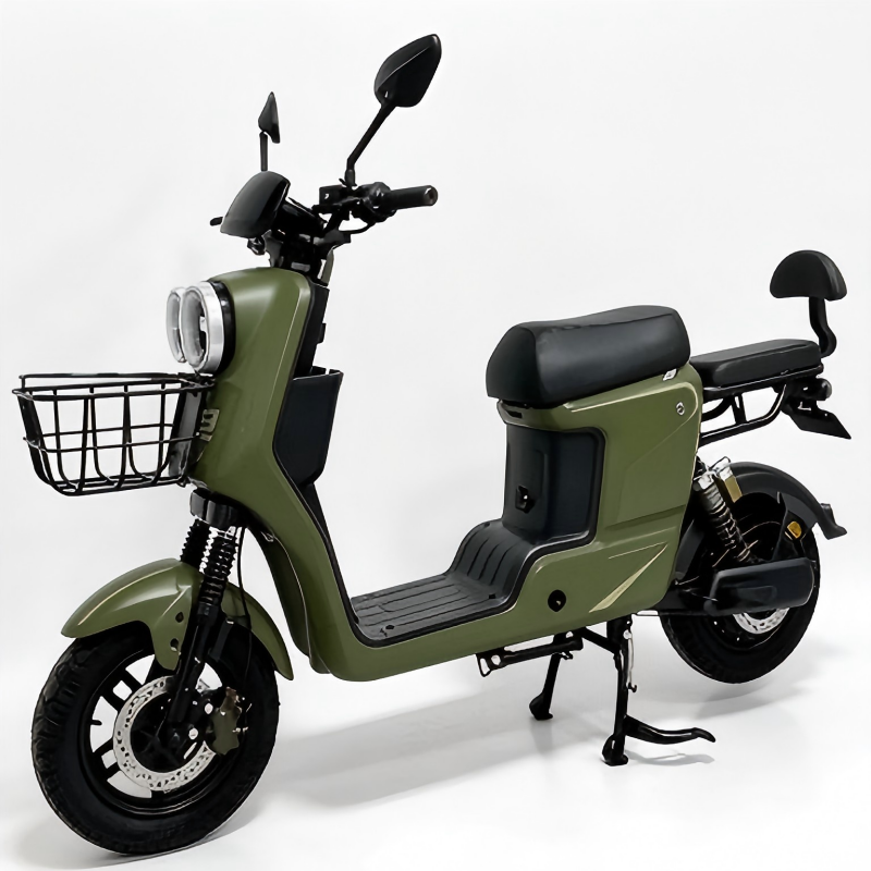 Electric Bike Details
