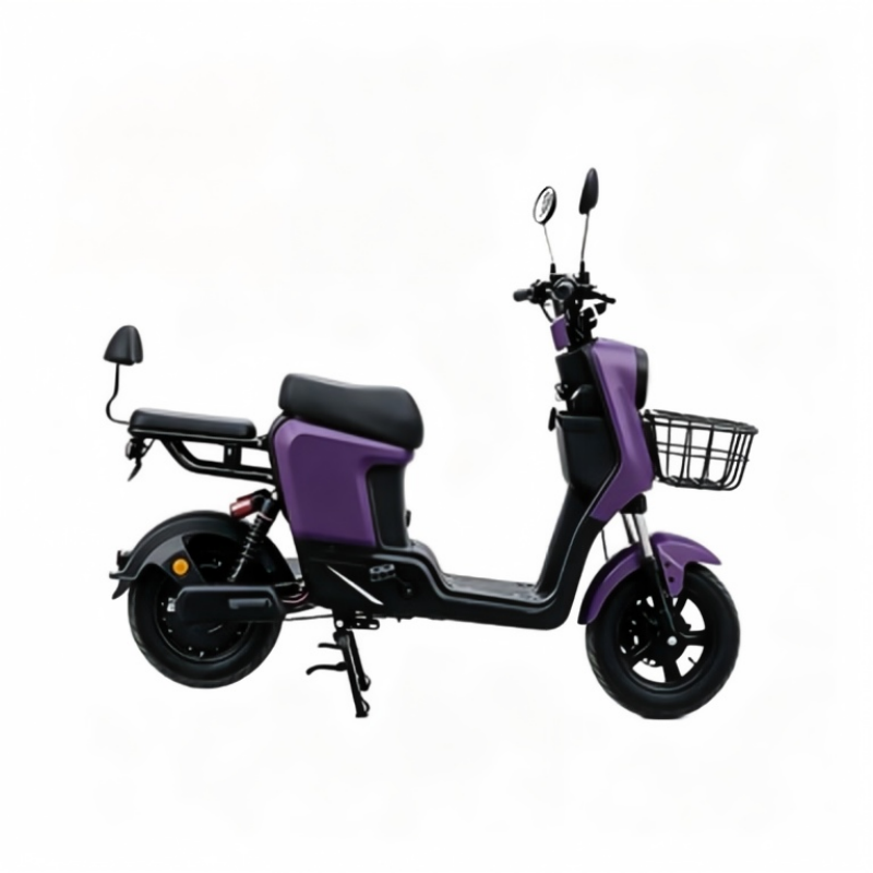 R9 cargo electric scooter rear shock absorber