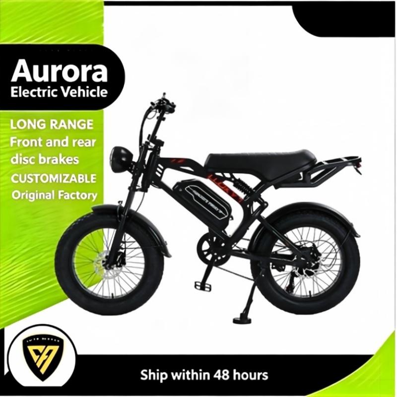 Vintage Fat Tire Off Road E-Bike
