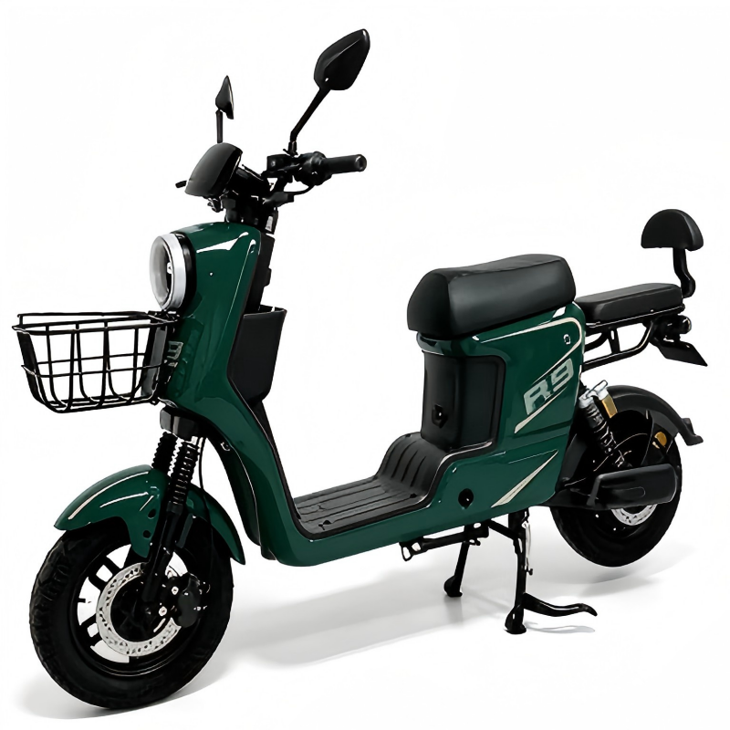 Electric Bike Details