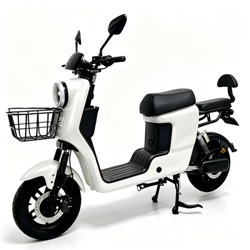 Electric Bike Details