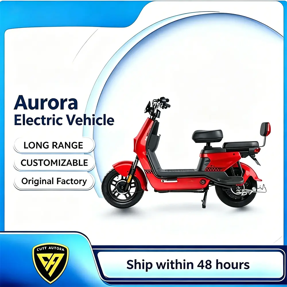 ODM Reliable E-Bike for Every Daily Journe Factory, Products