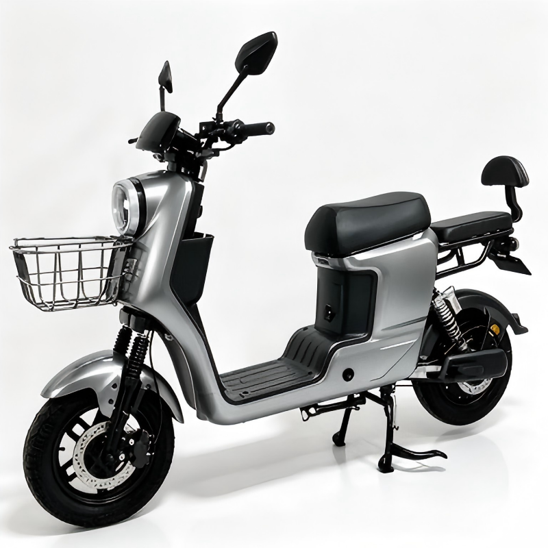 Electric Bike Details
